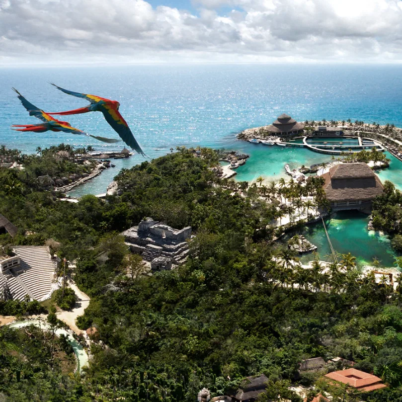Sostenibilidad | Hoteles Xcaret